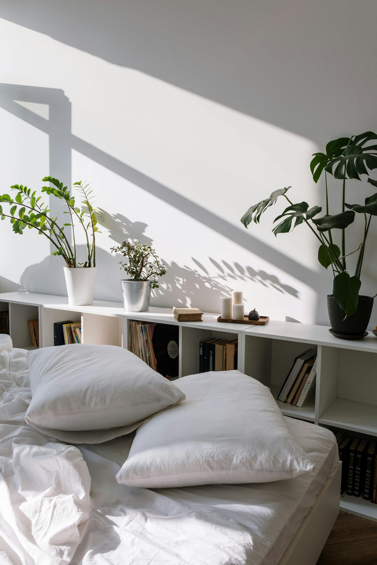 Bedroom Plants