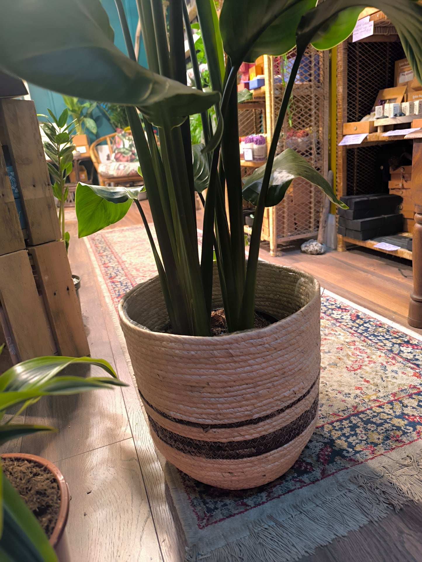 Basket - Pippa