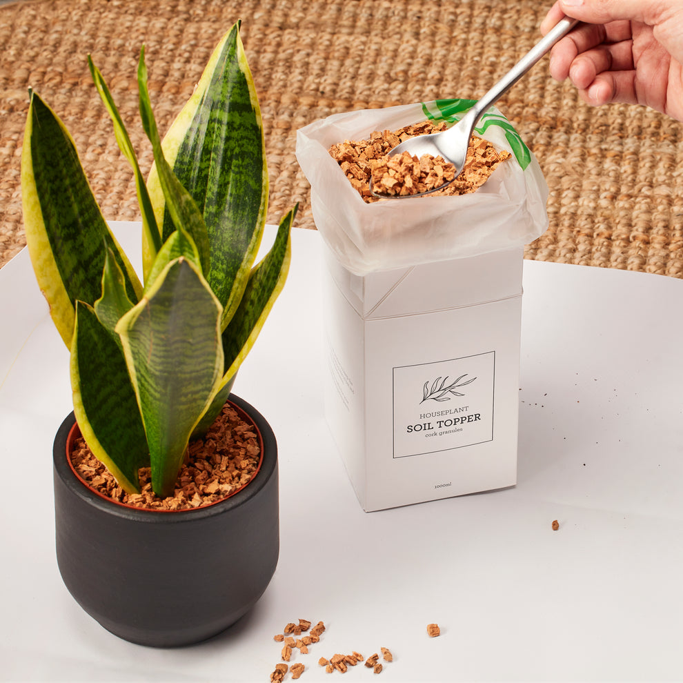 Houseplant Soil Topper