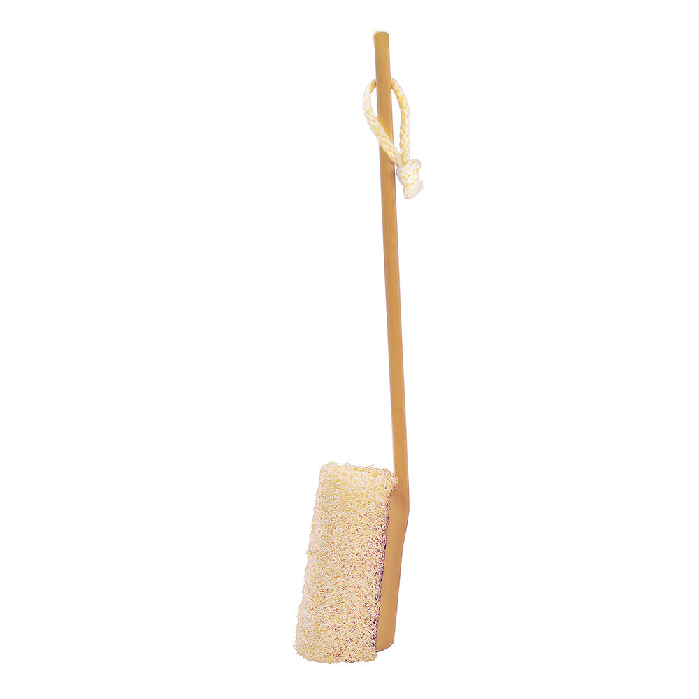 Shower Loofah or Brush