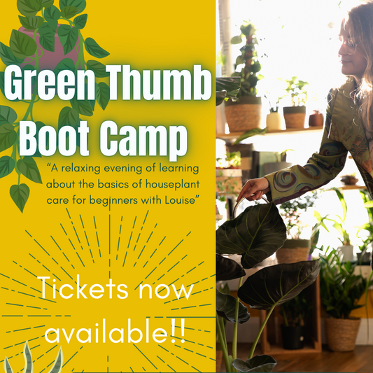 Workshop Ticket: Green Thumb Bootcamp (Beginner/Intermediate)
