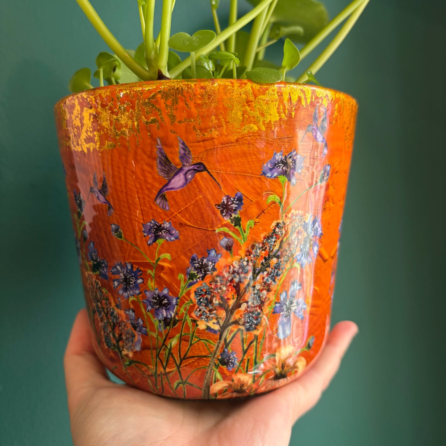 Pots - Dreamy Hummingbird