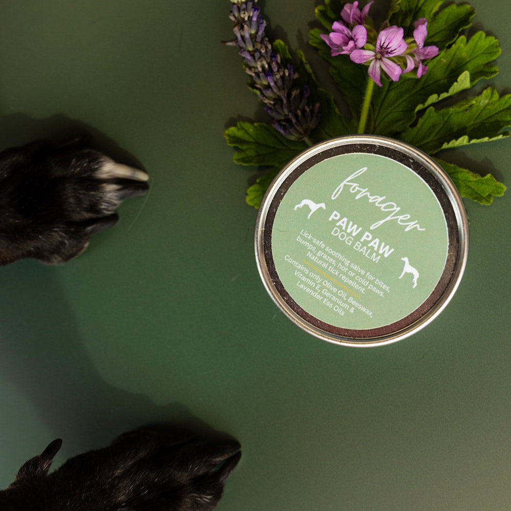 Dog Skincare Paw Balm