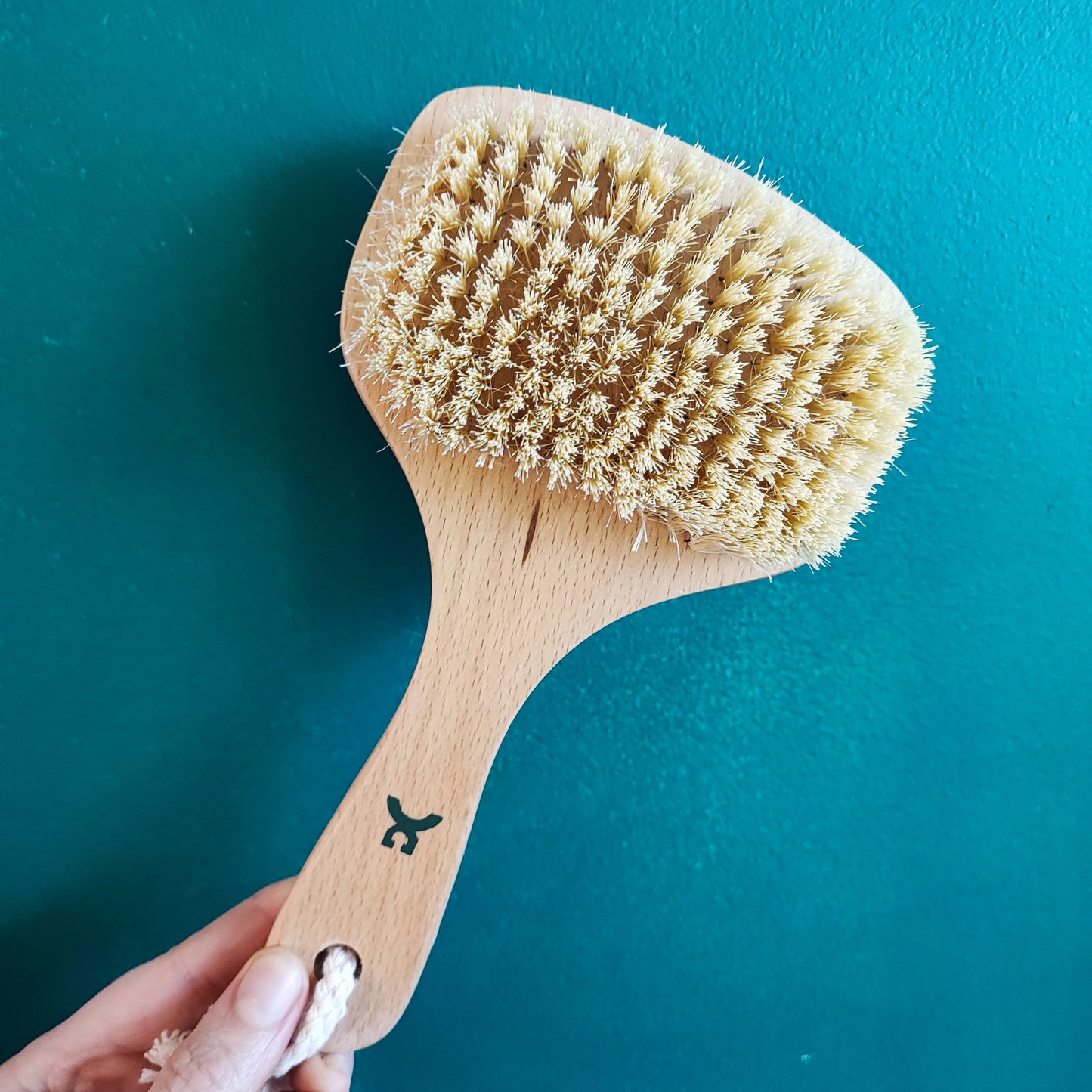Dry Brushes (wooden) for Massage
