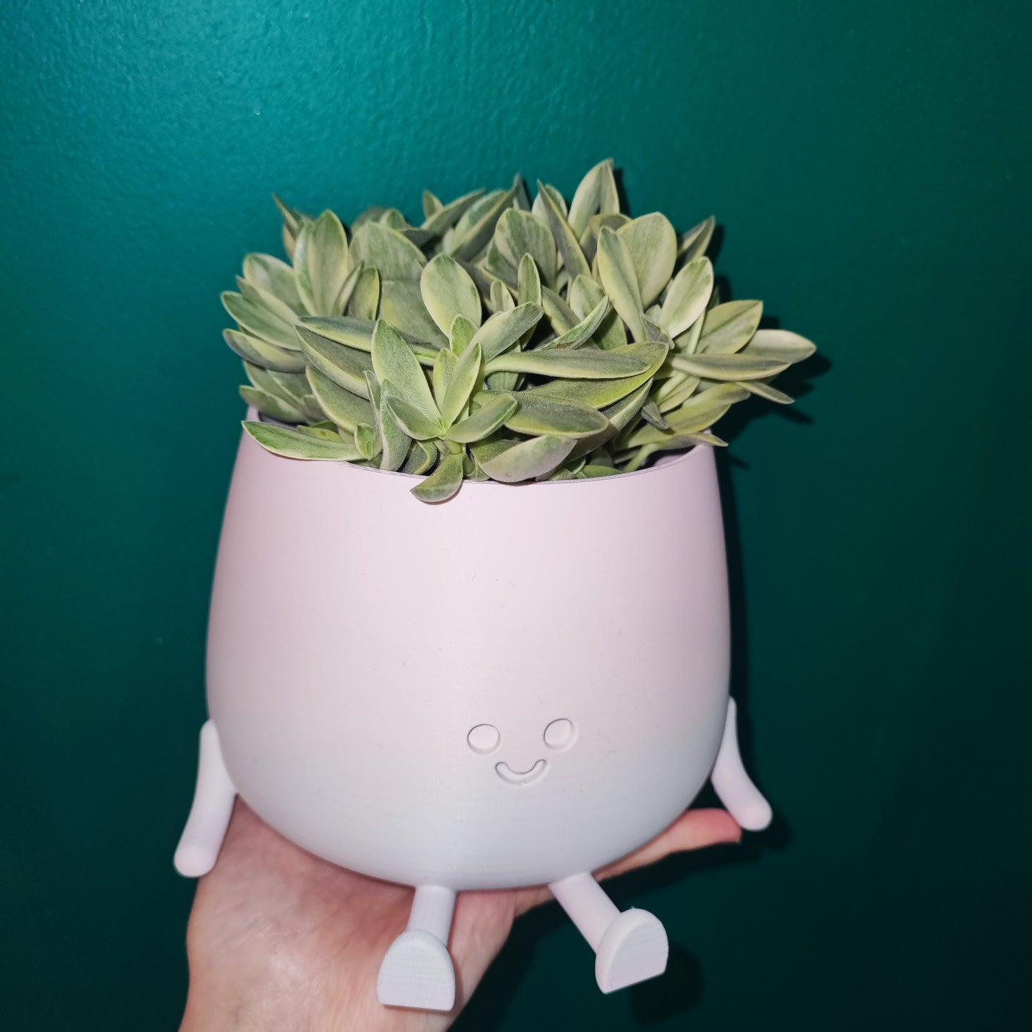 Happy Pot Large