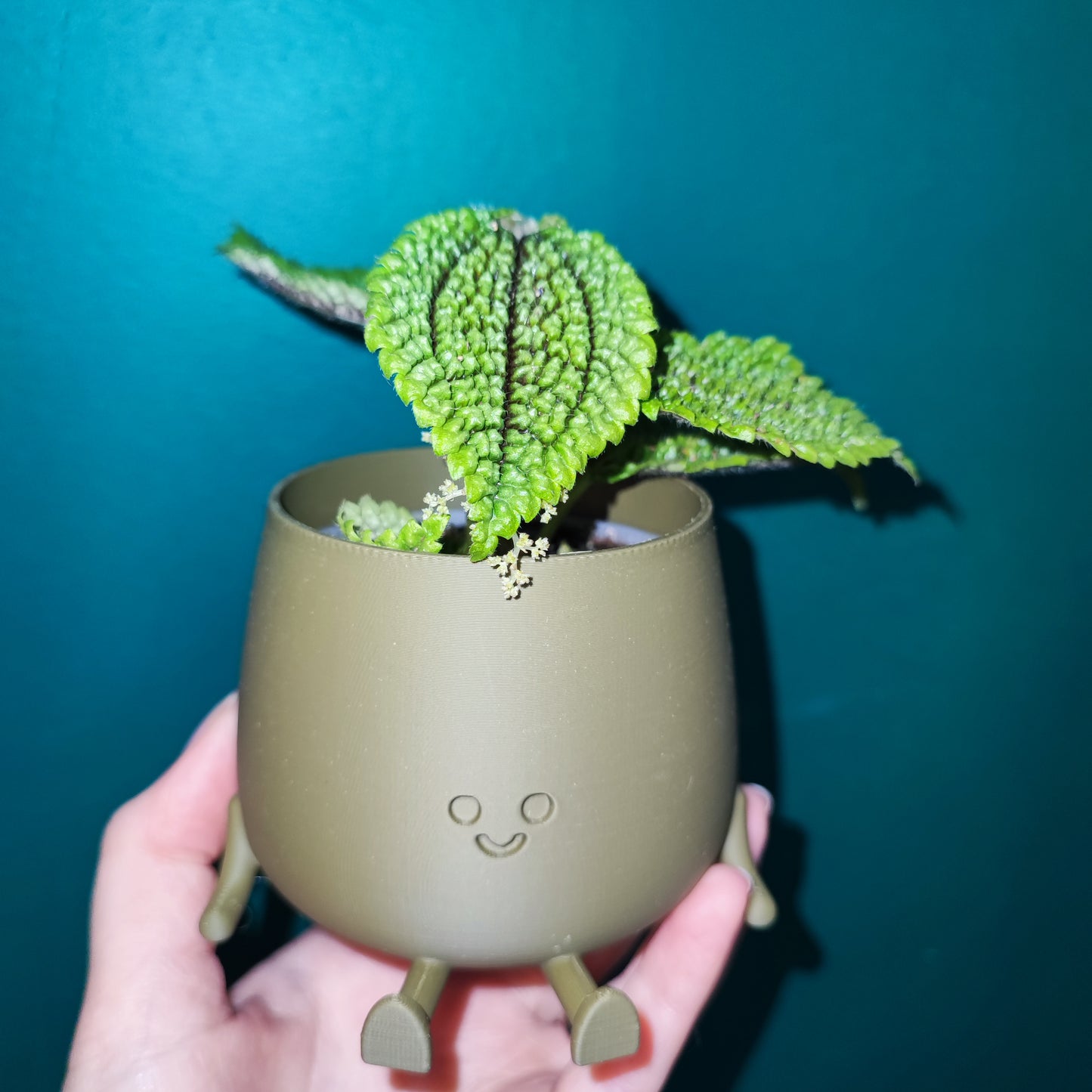 Happy Pot Mini
