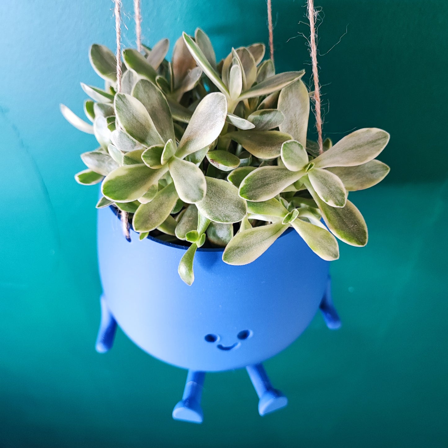 Happy Pot Hanging