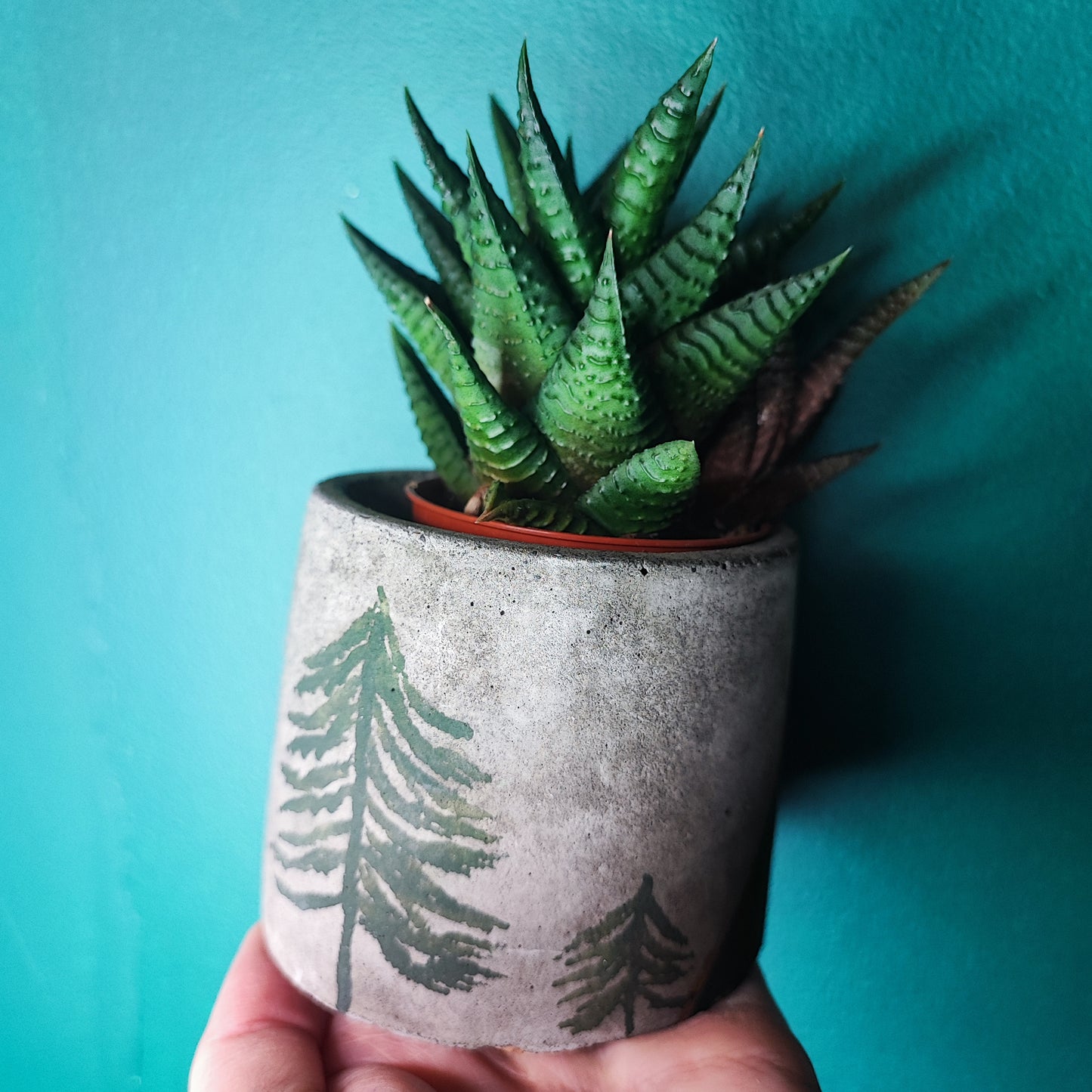 Handpainted Mini Concrete Pots