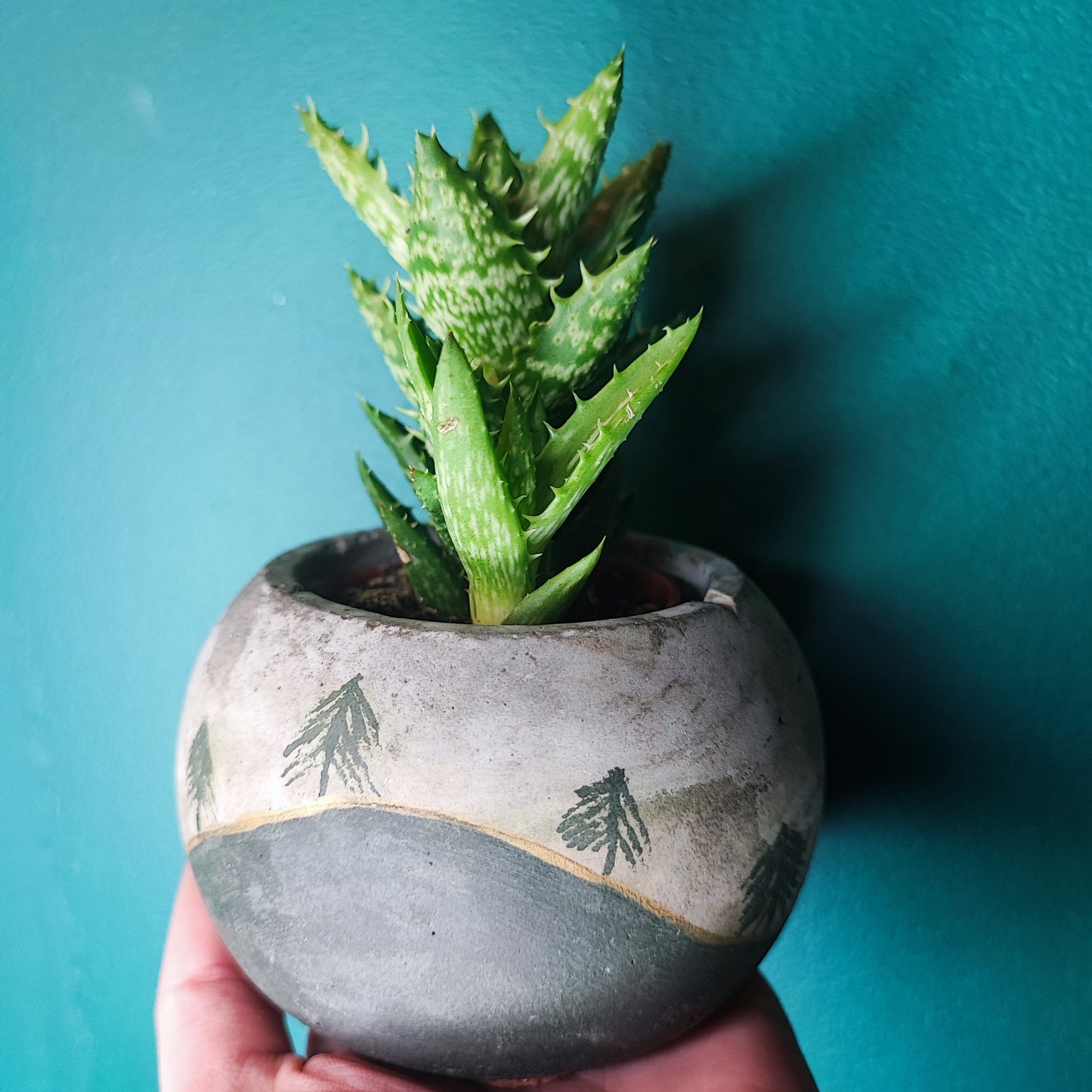 Handpainted Mini Concrete Pots