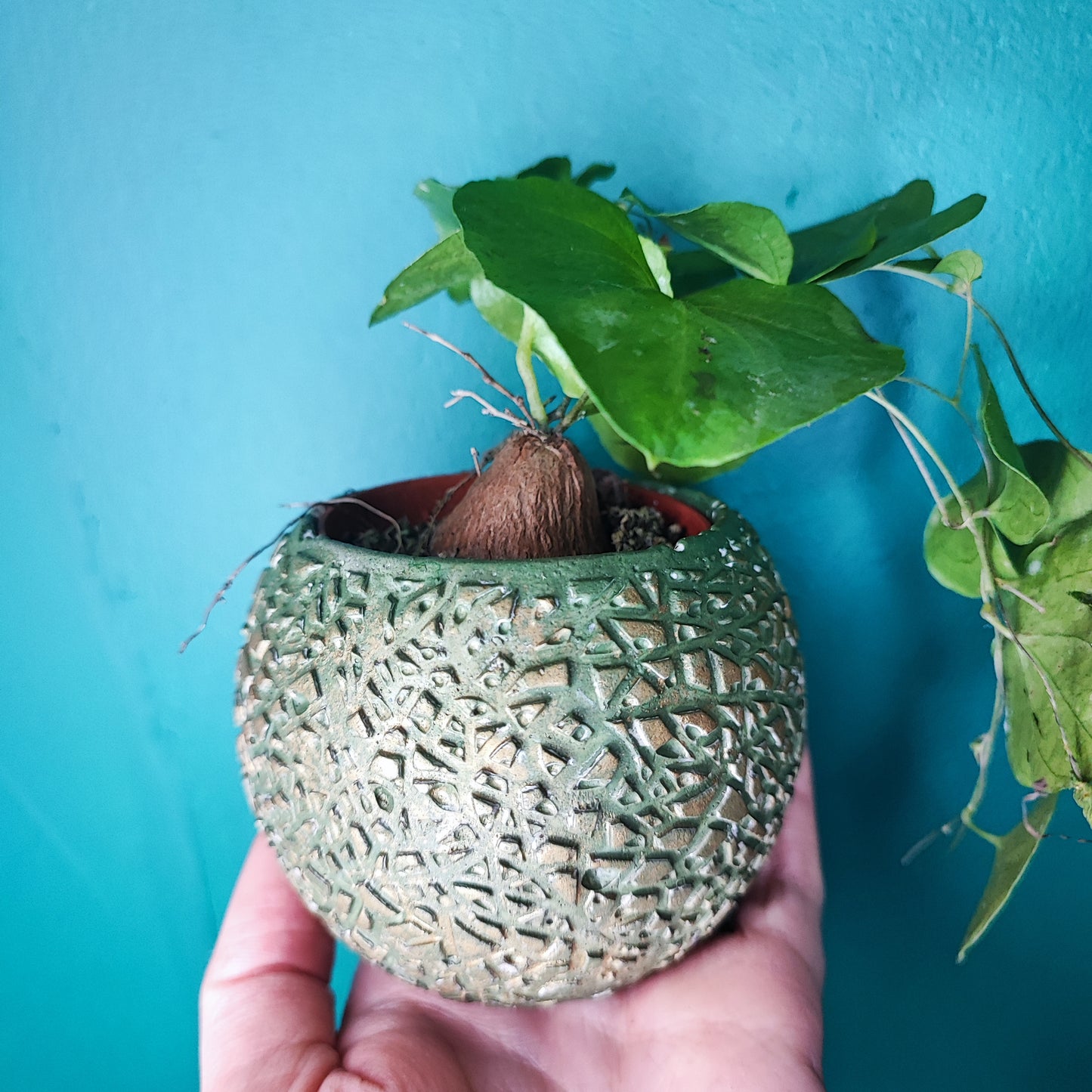 Handpainted Mini Concrete Pots