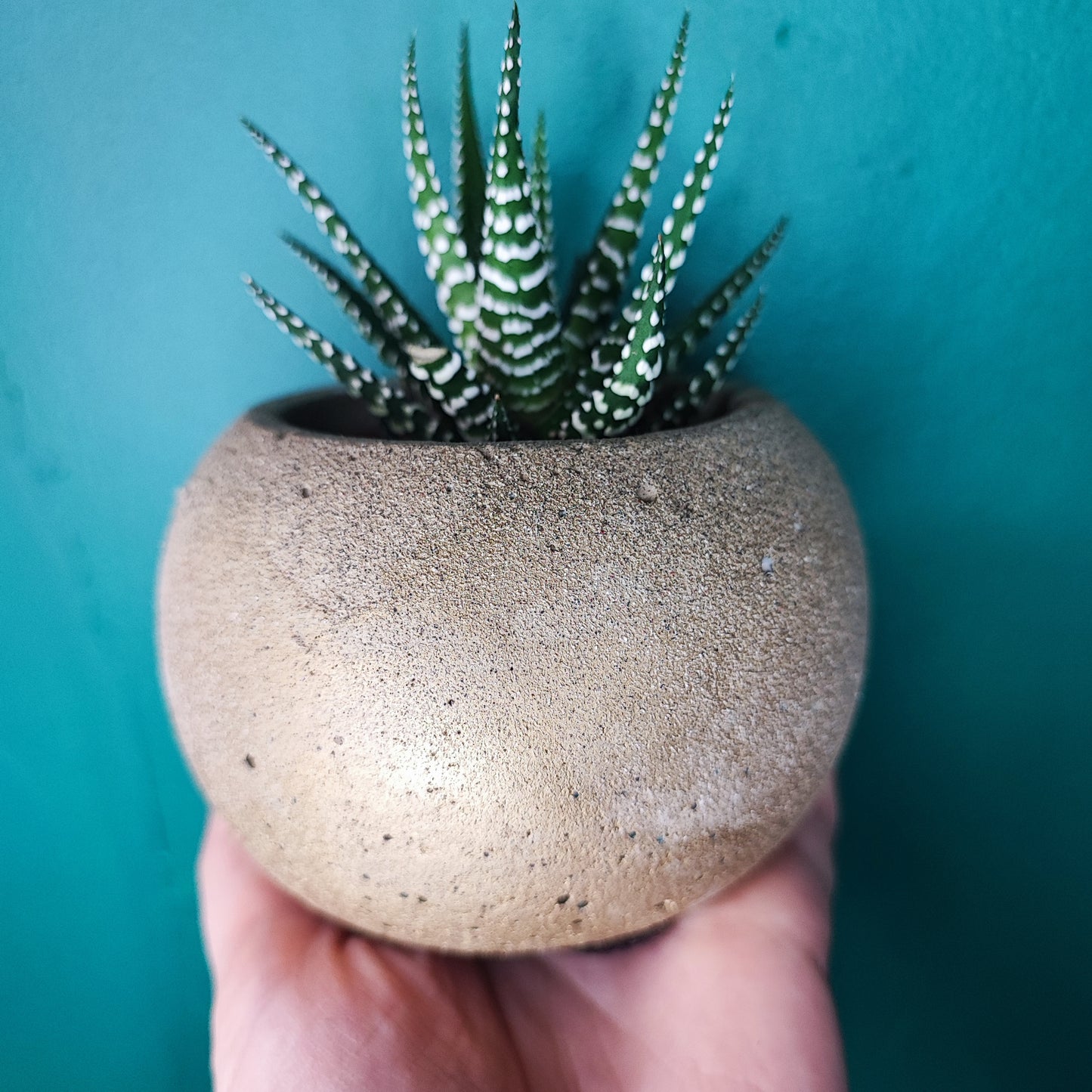Handpainted Mini Concrete Pots