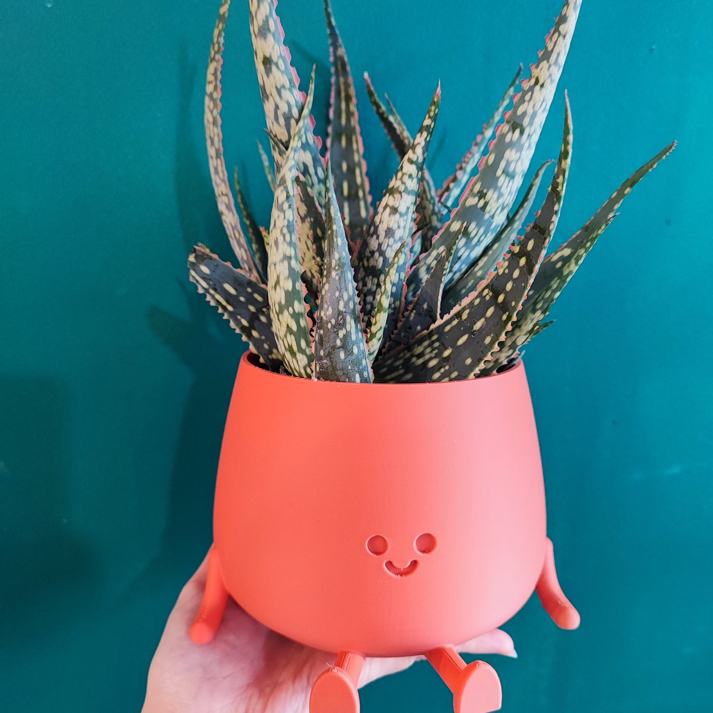 Happy Pot Large