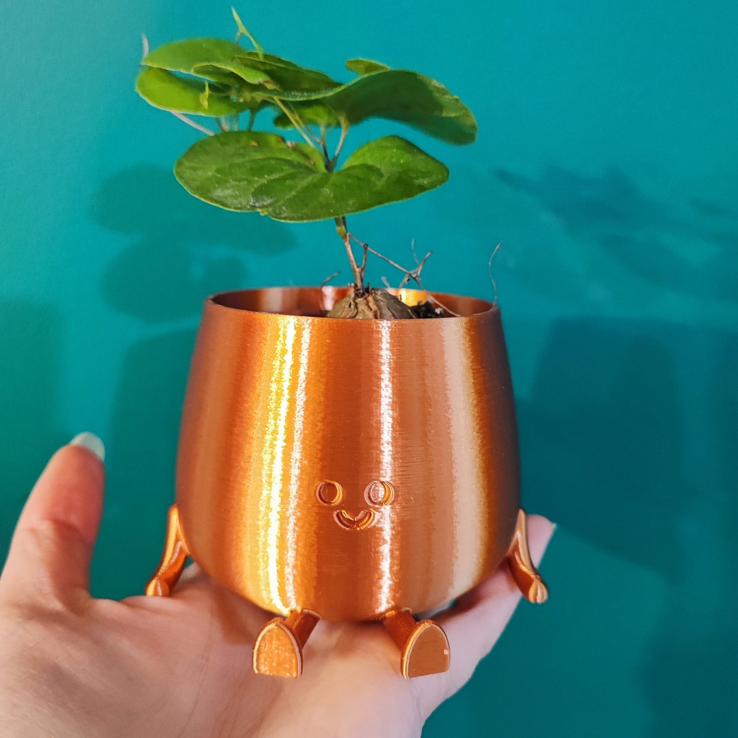 Happy Pot Mini