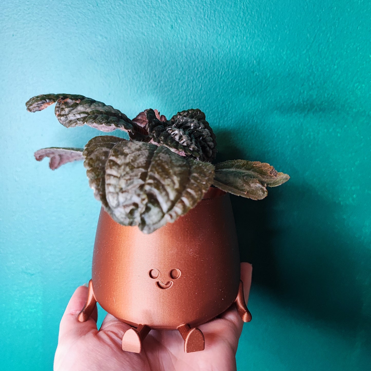 Happy Pot Mini