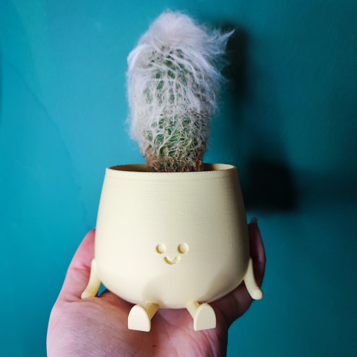 Happy Pot Mini