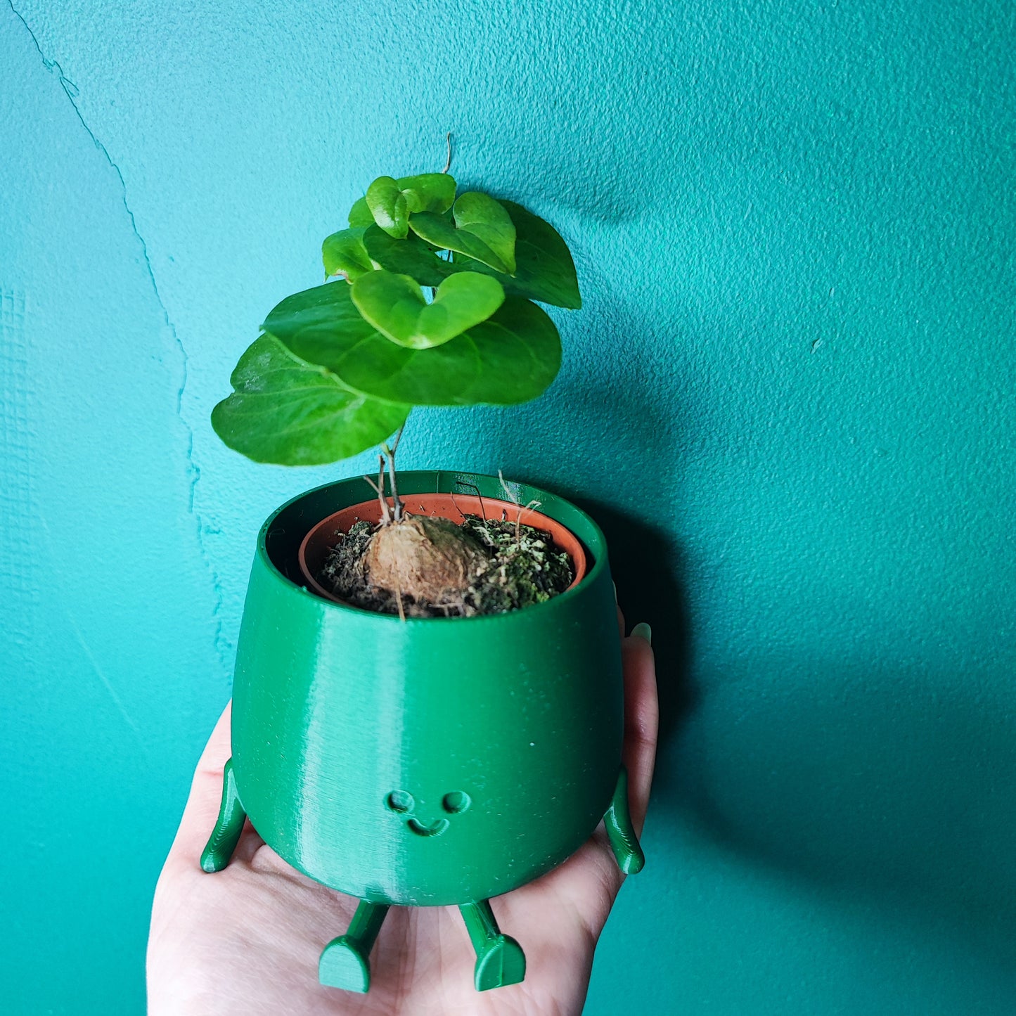 Happy Pot Mini