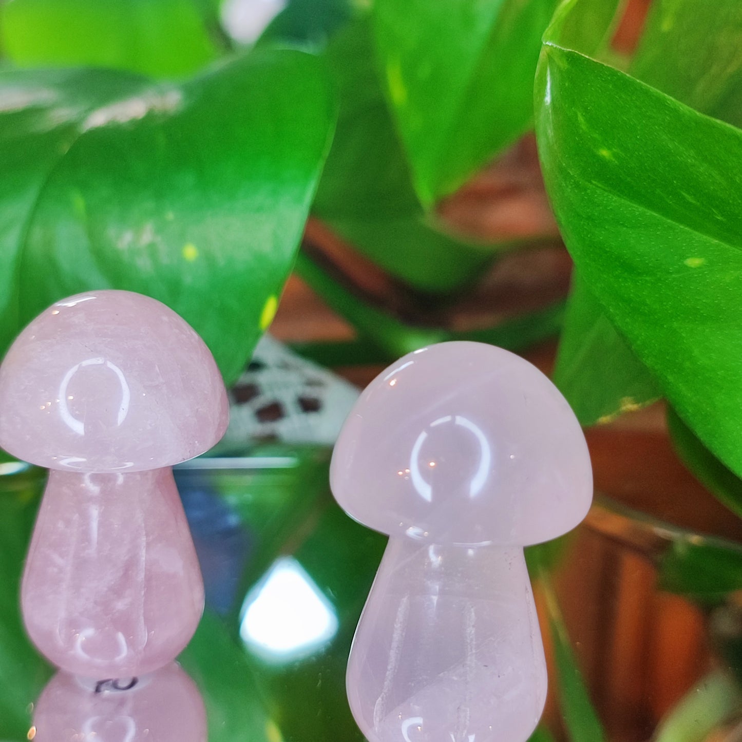 Mushrooms (5 crystals)