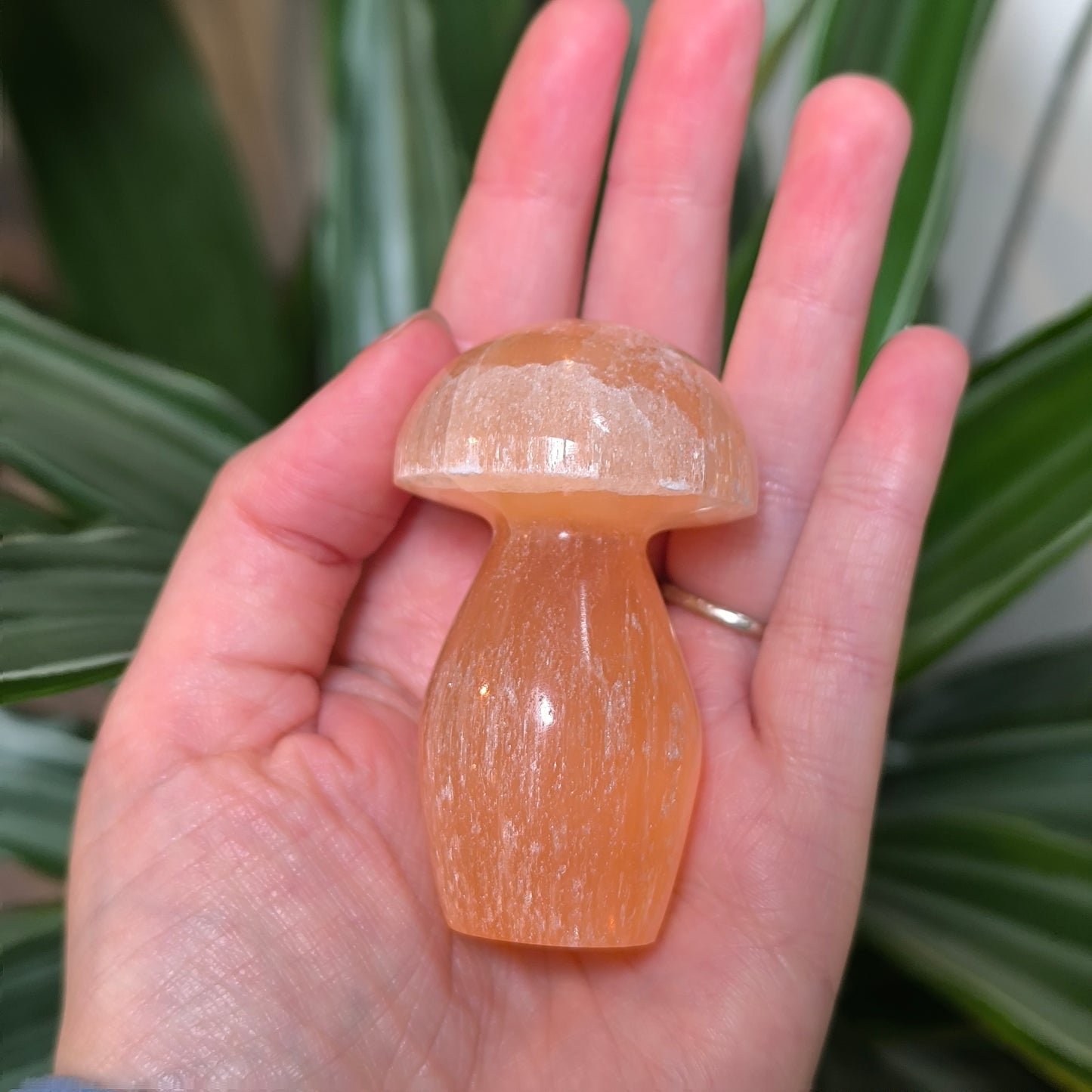Orange Selenite Mushrooms