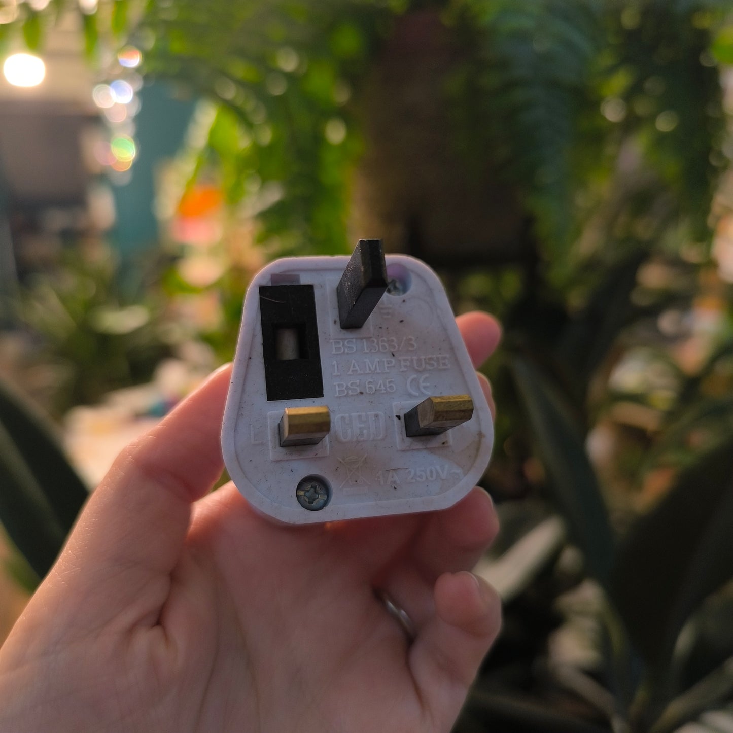 Adaptor for growlights/fountains