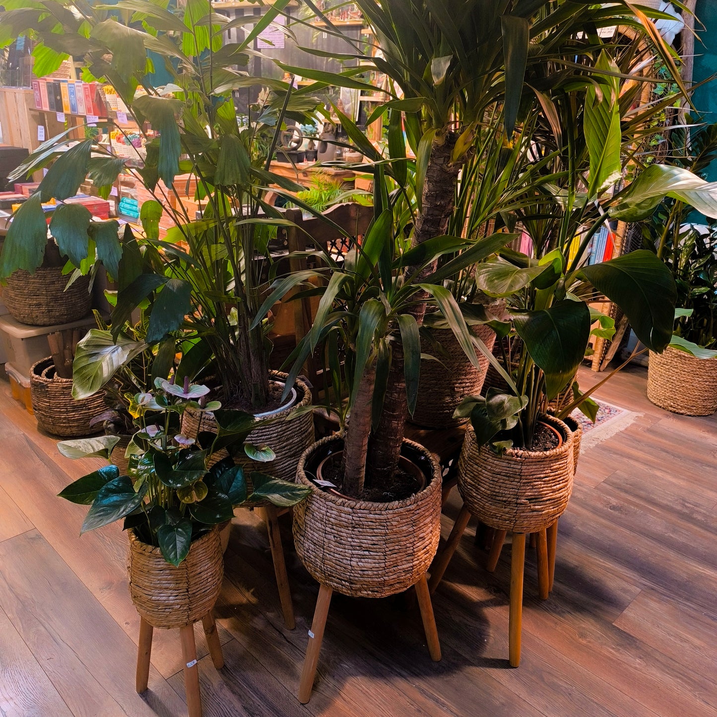 Basket Stands - Natural (3 sizes)