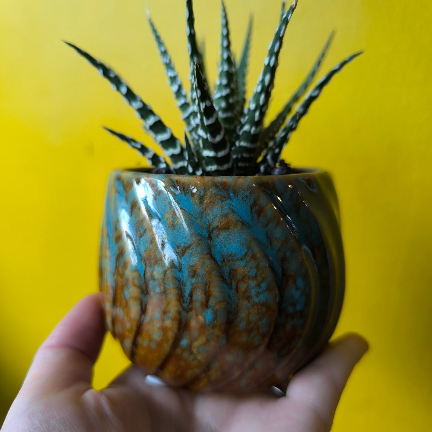 Pot - Marine