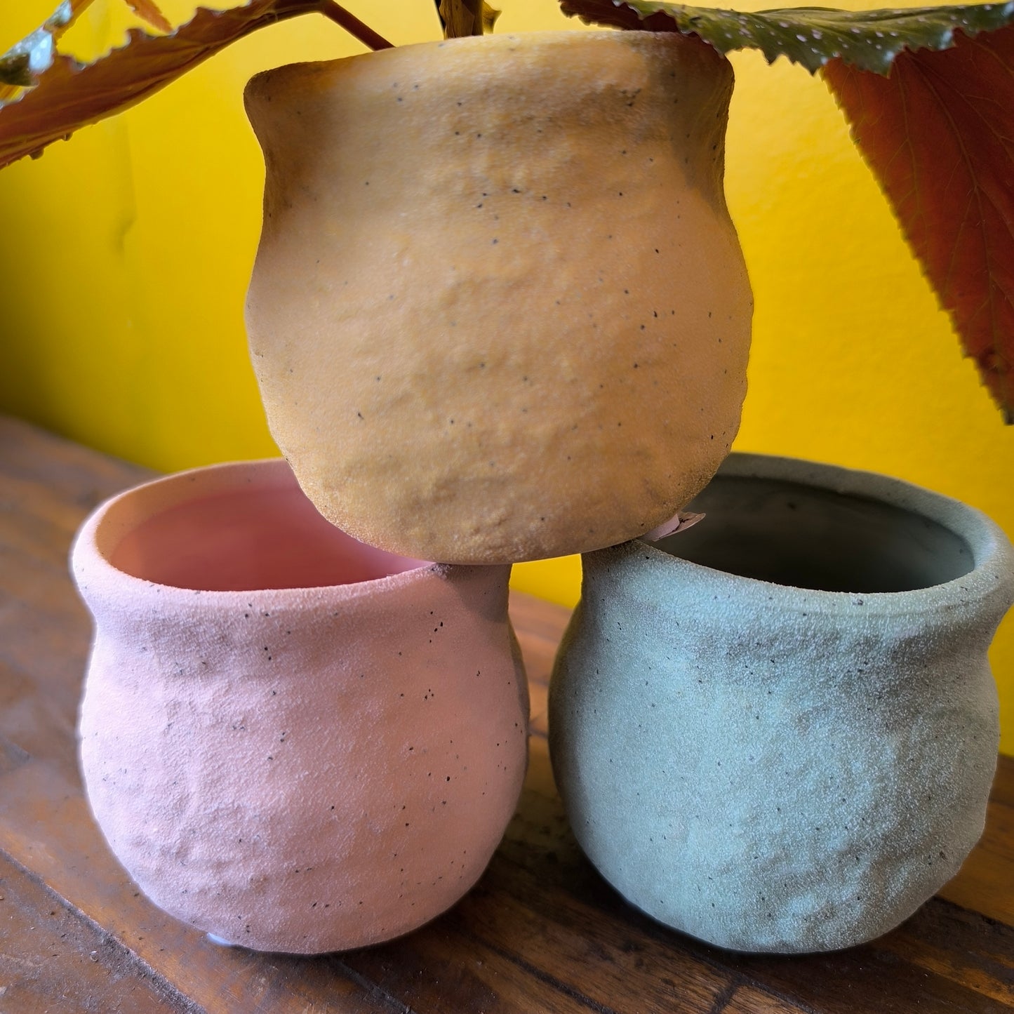 Pot - Colea