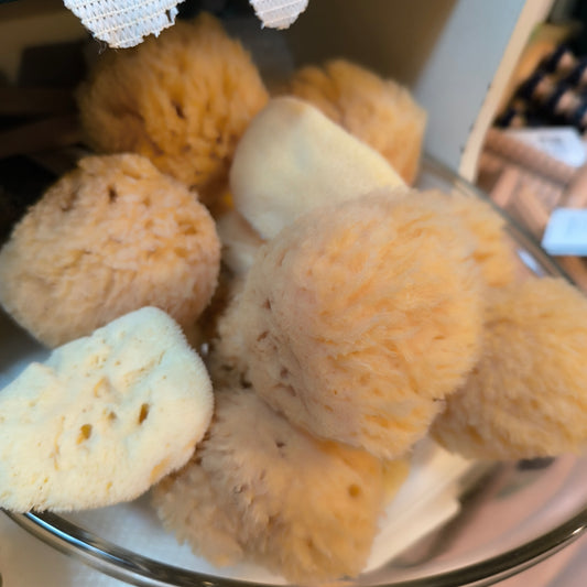 Natural Sponge (2)