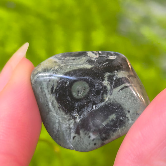 Kambamba Jasper Tumbles