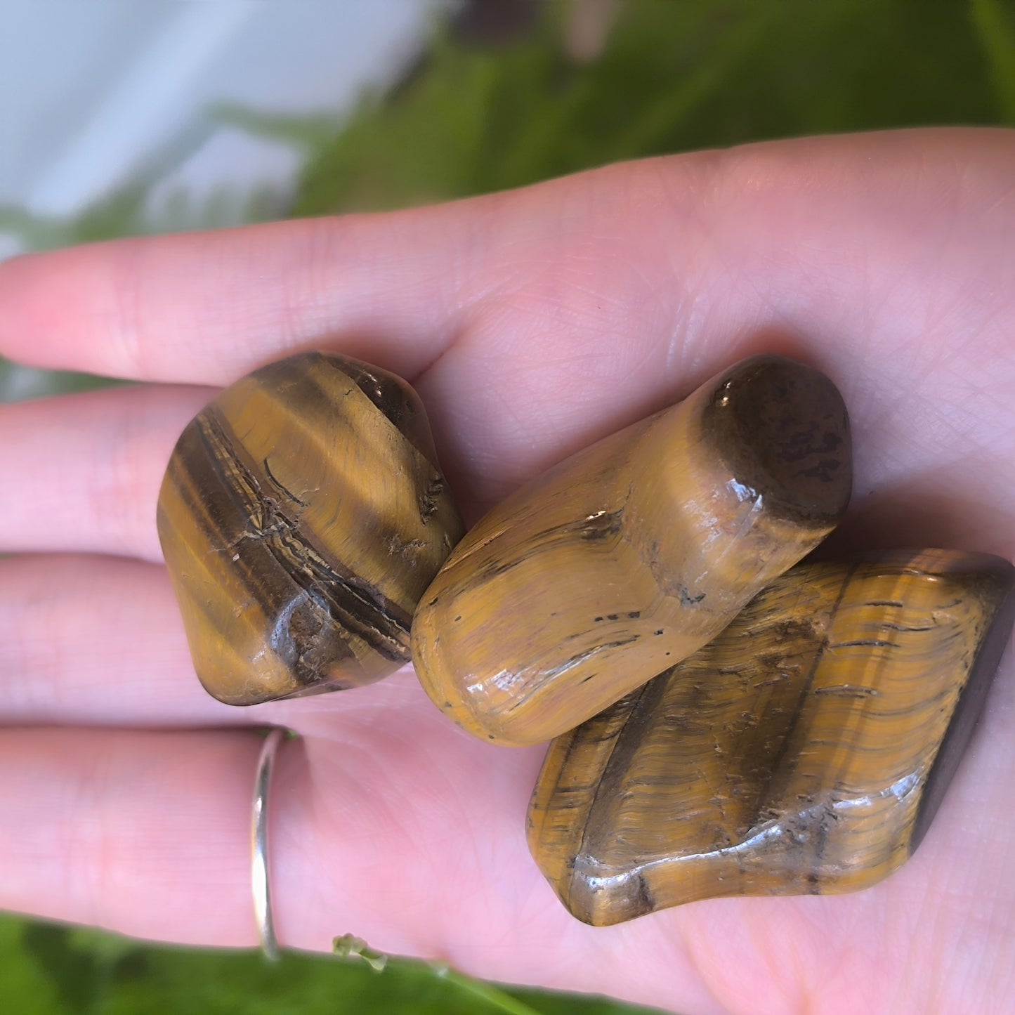 Tigers Eye Tumbles