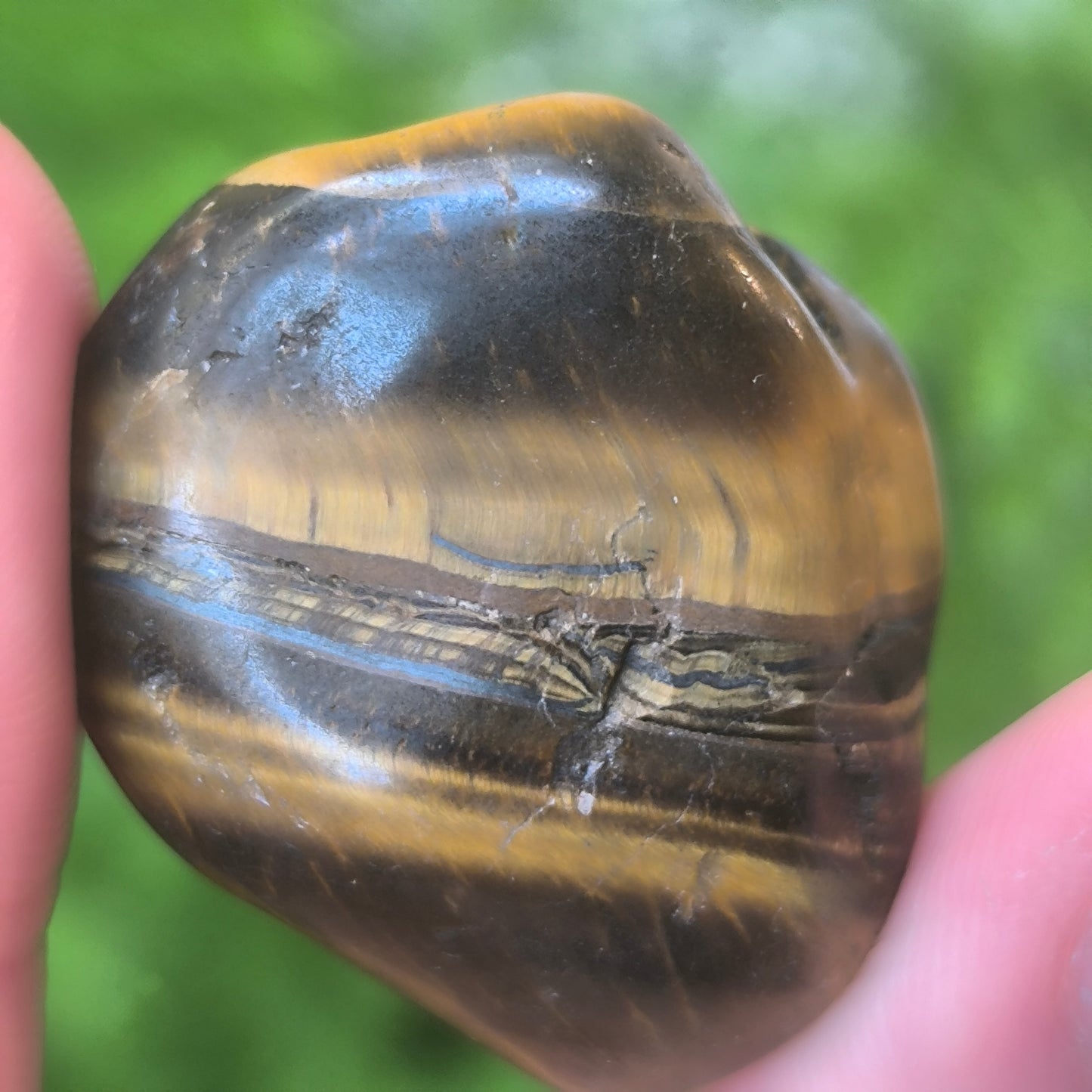 Tigers Eye Tumbles