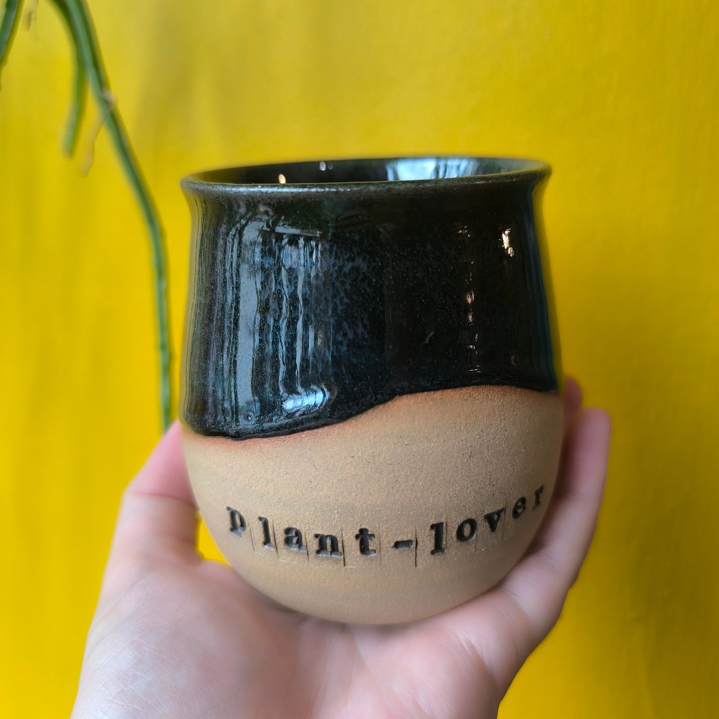 Cacao Mugs