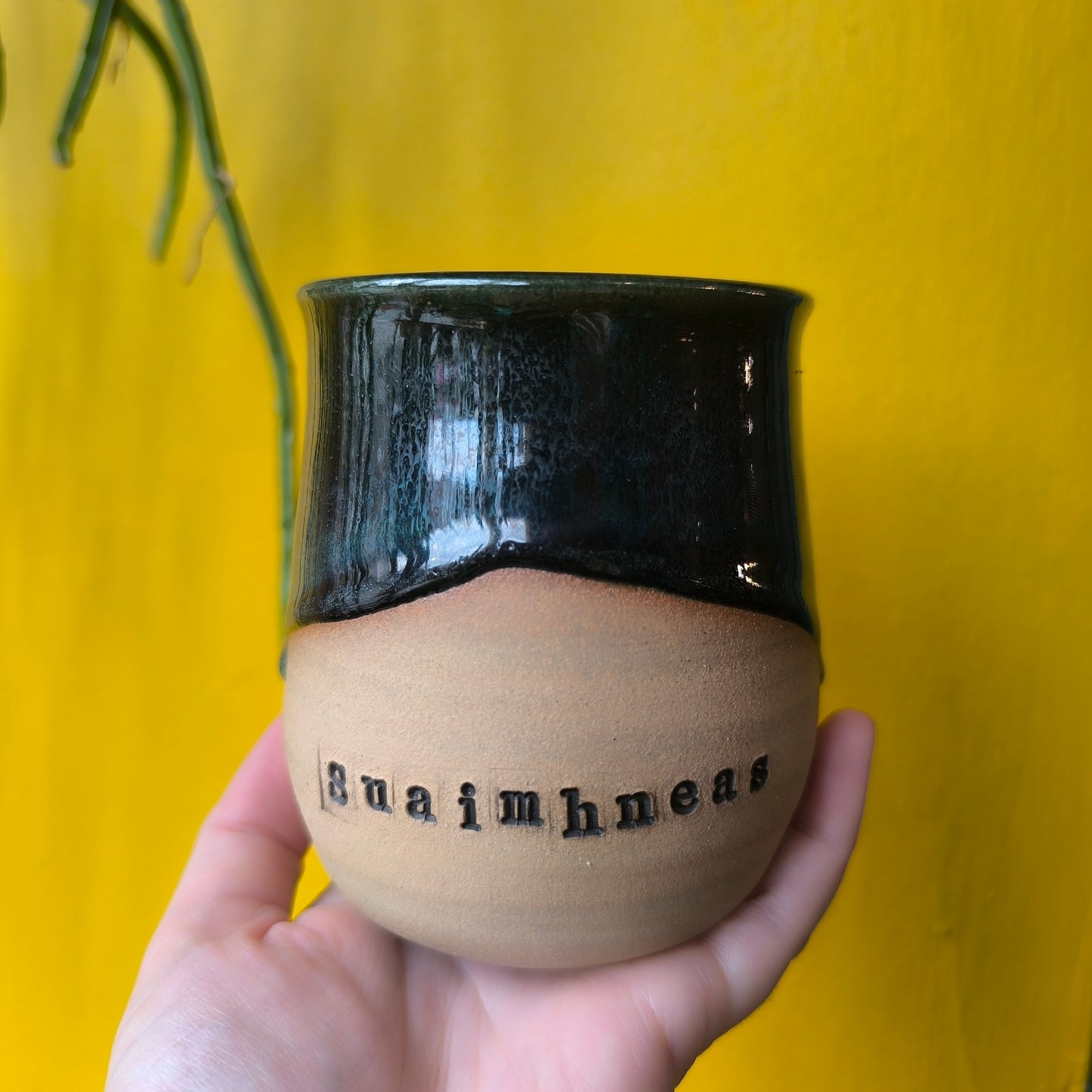 Cacao Mugs