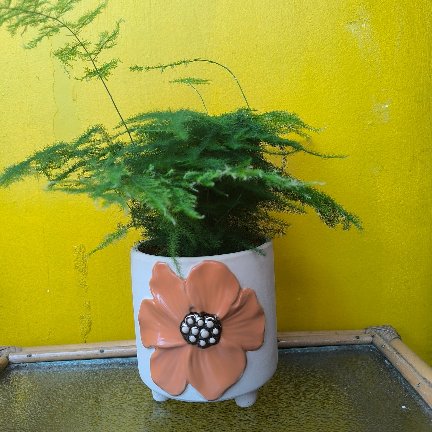 Pot - Aisha (3 colours)