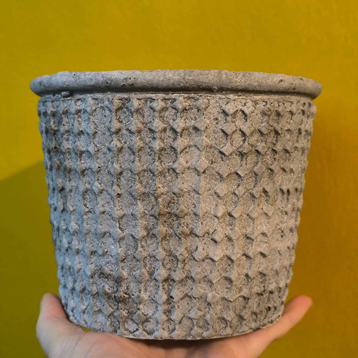Pot - Pavel