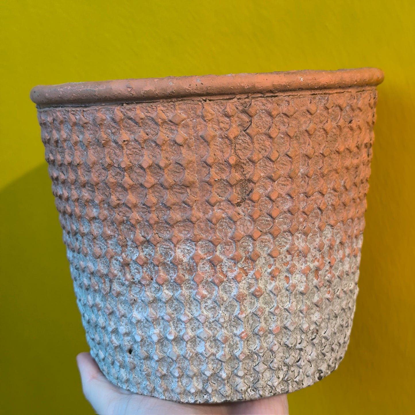 Pot - Pavel