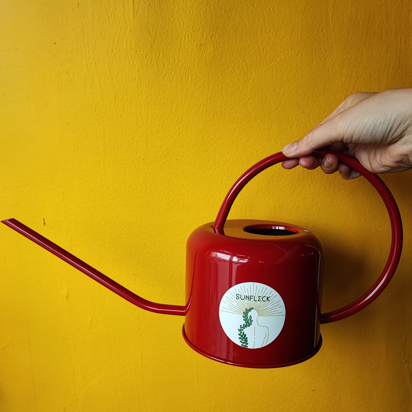 Houseplant Watering Can