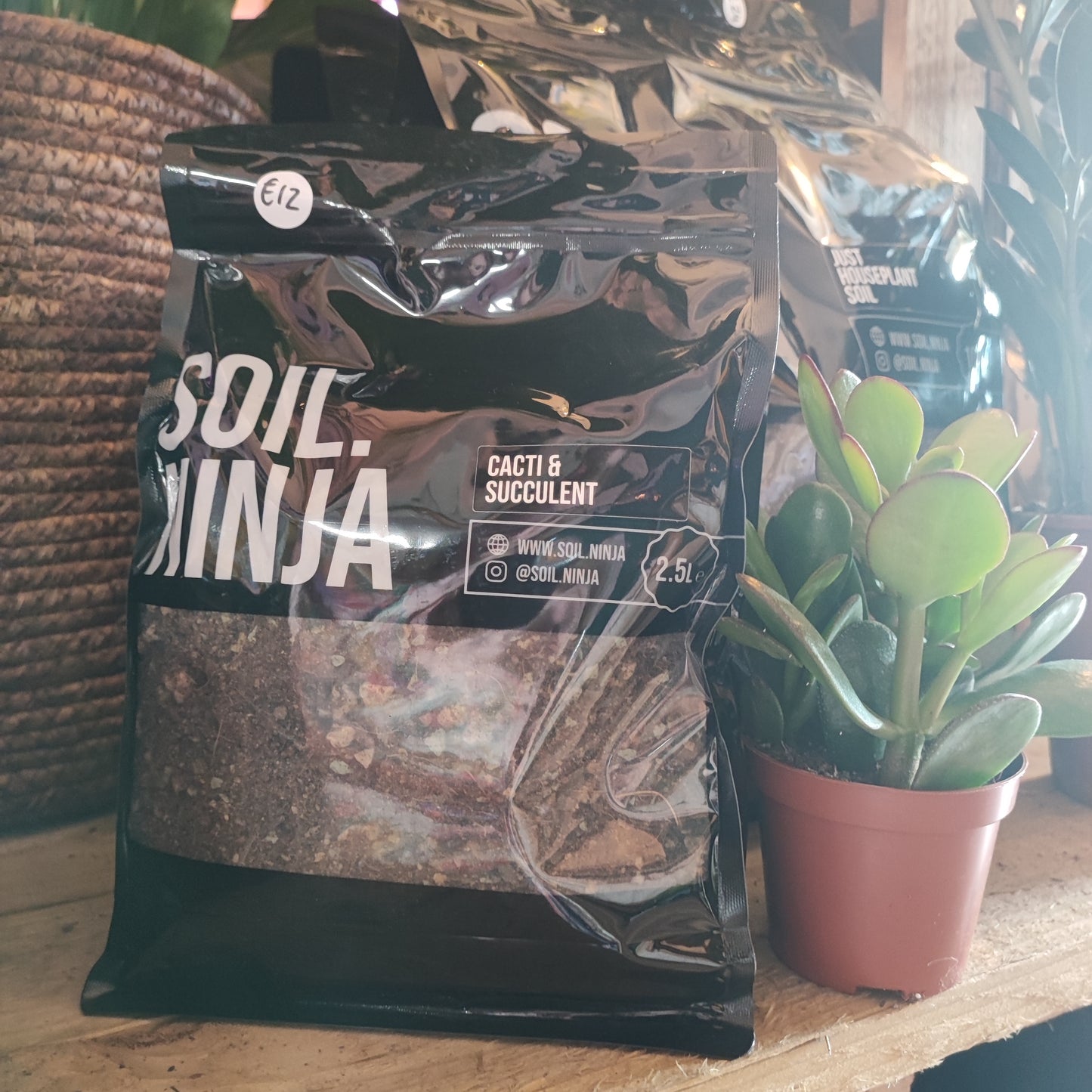 Soil Mix Cacti and Succulents