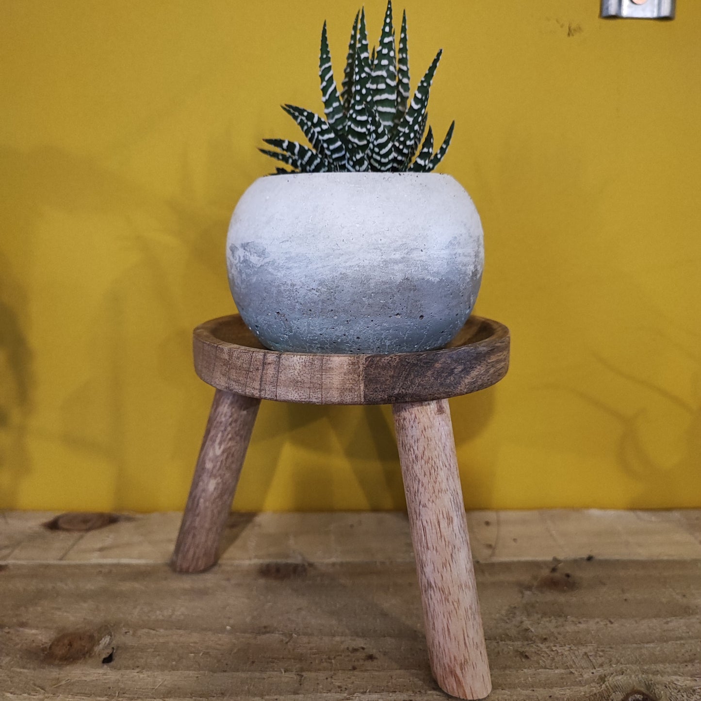 Plant Stands- Wooden Foot