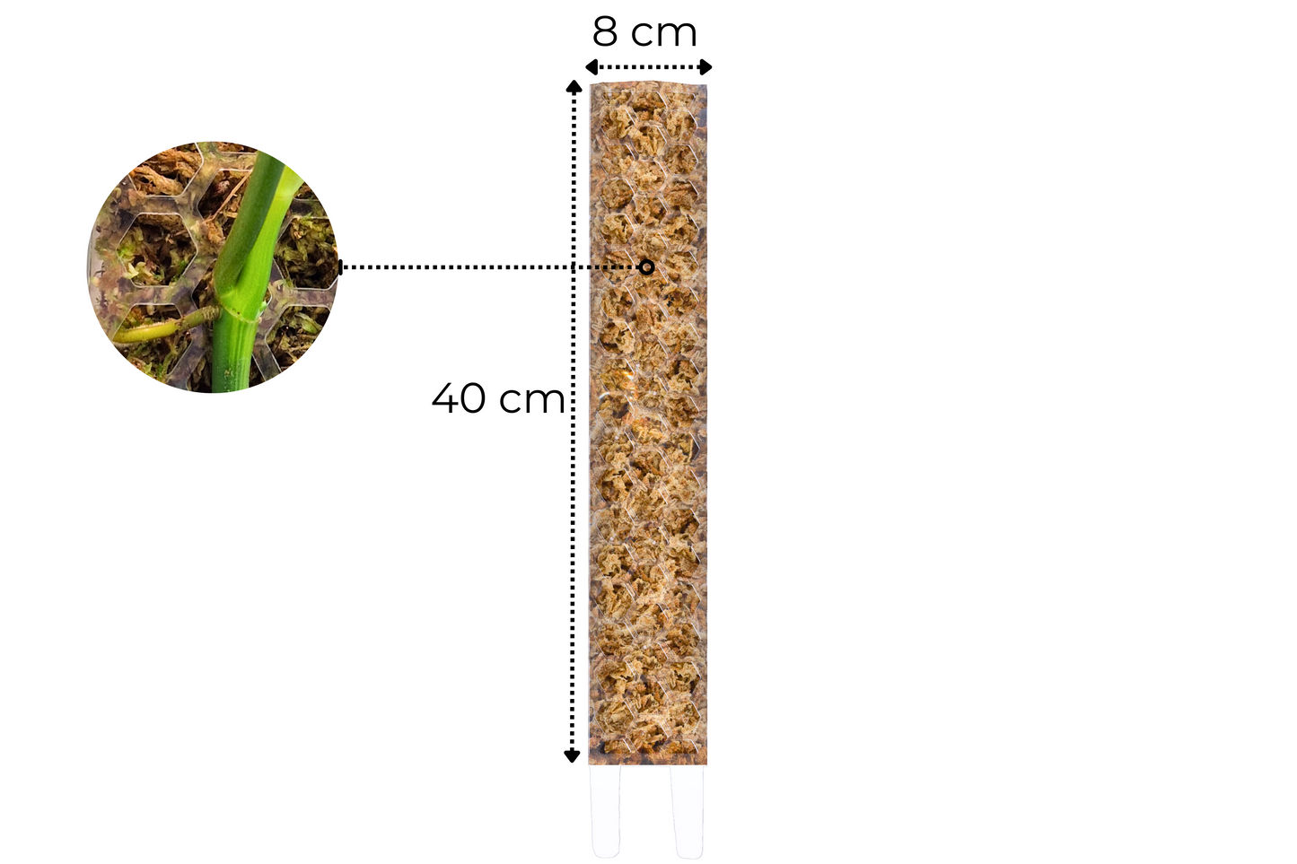 Moss Pole - Large