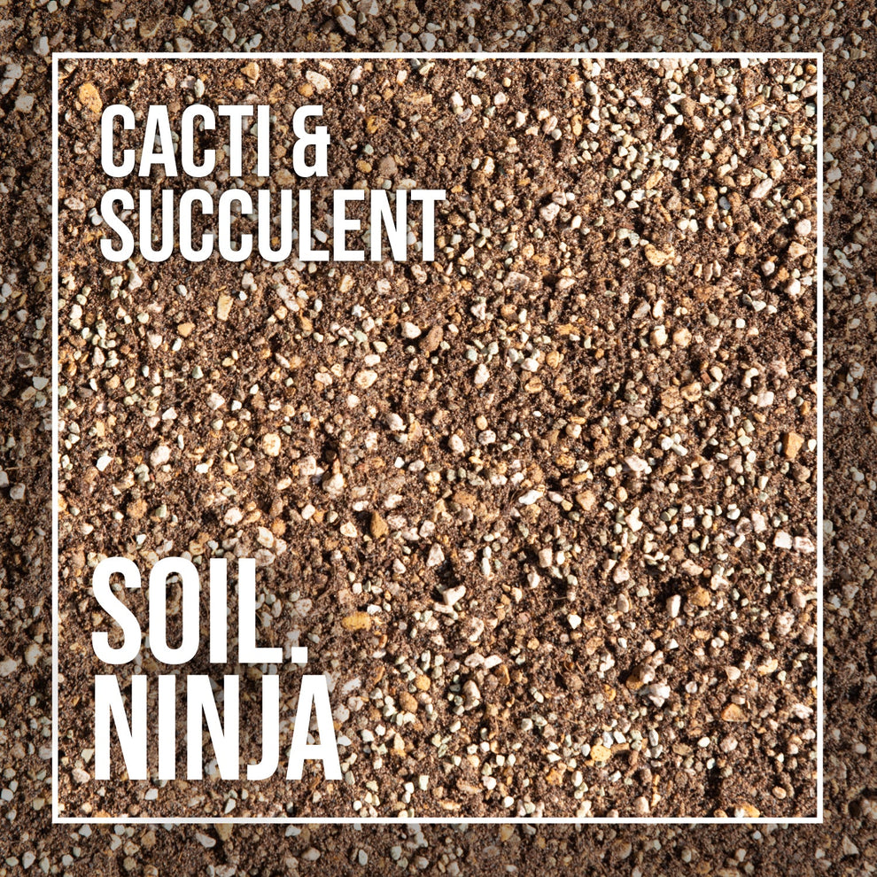 Soil Mix Cacti and Succulents