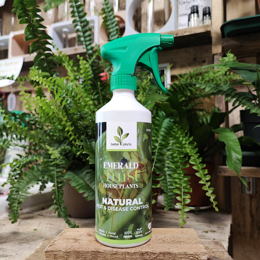 Houseplant Pest Spray