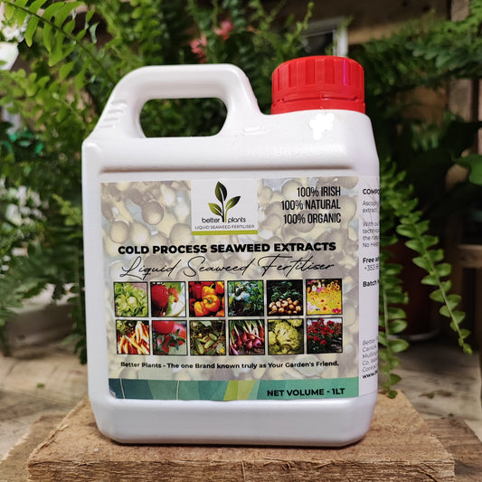 Houseplant Food Concentrated