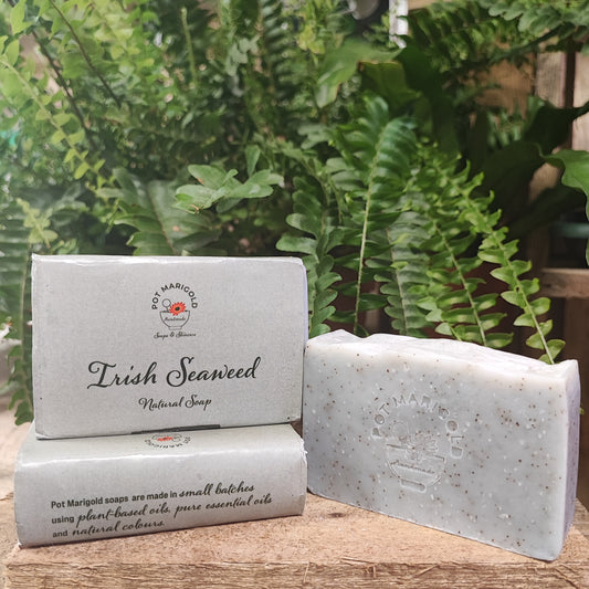 Soap - Irish Seaweed