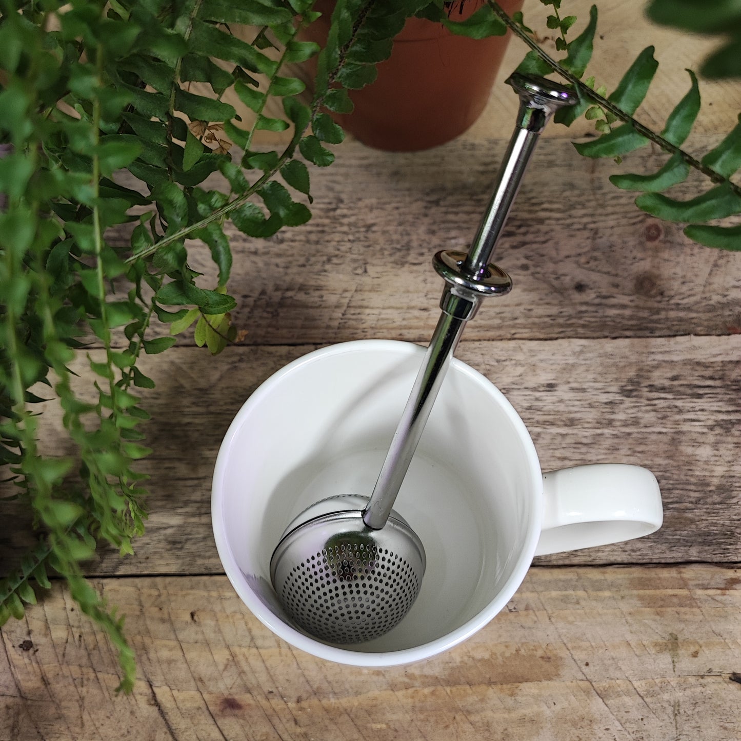 Stainless Steel Tea Strainers