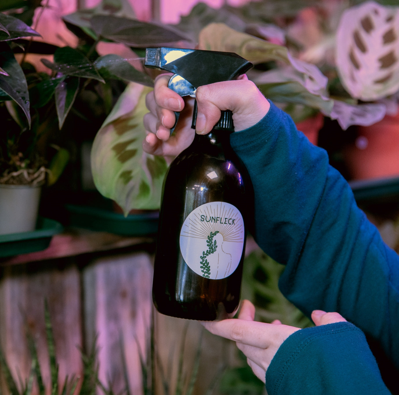 Houseplant Misting Bottle