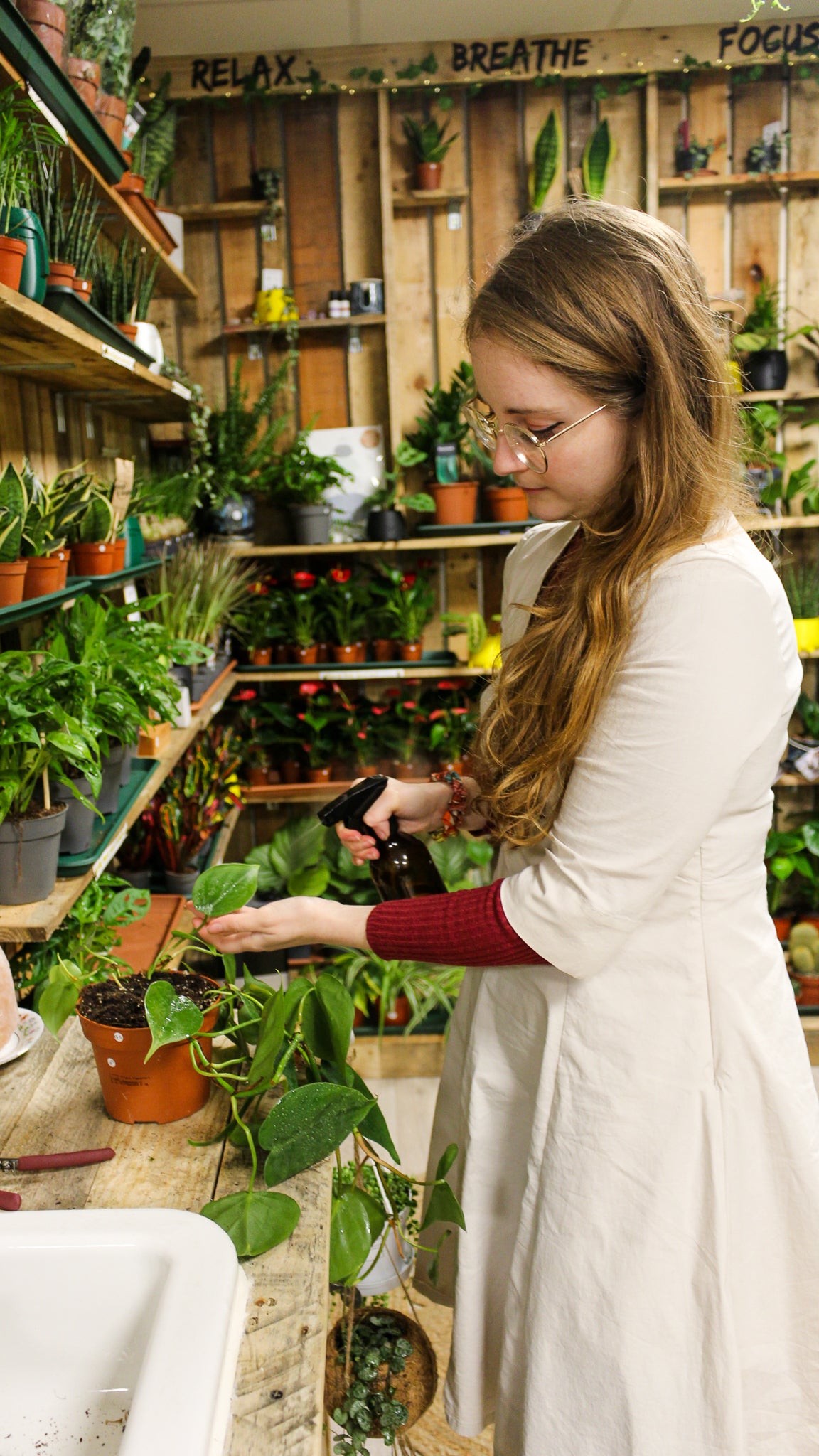 Houseplant Misting Bottle