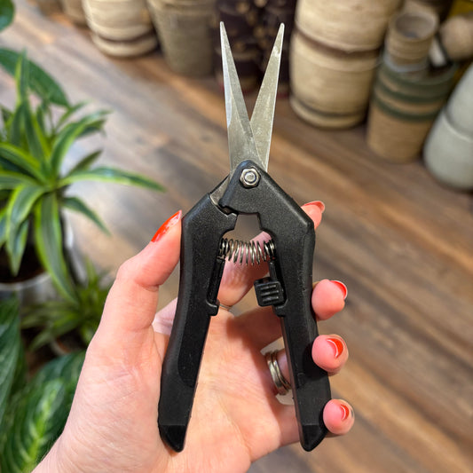 Pruning scizzors