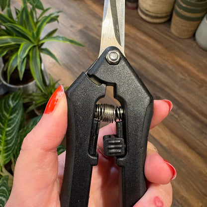 Pruning scizzors