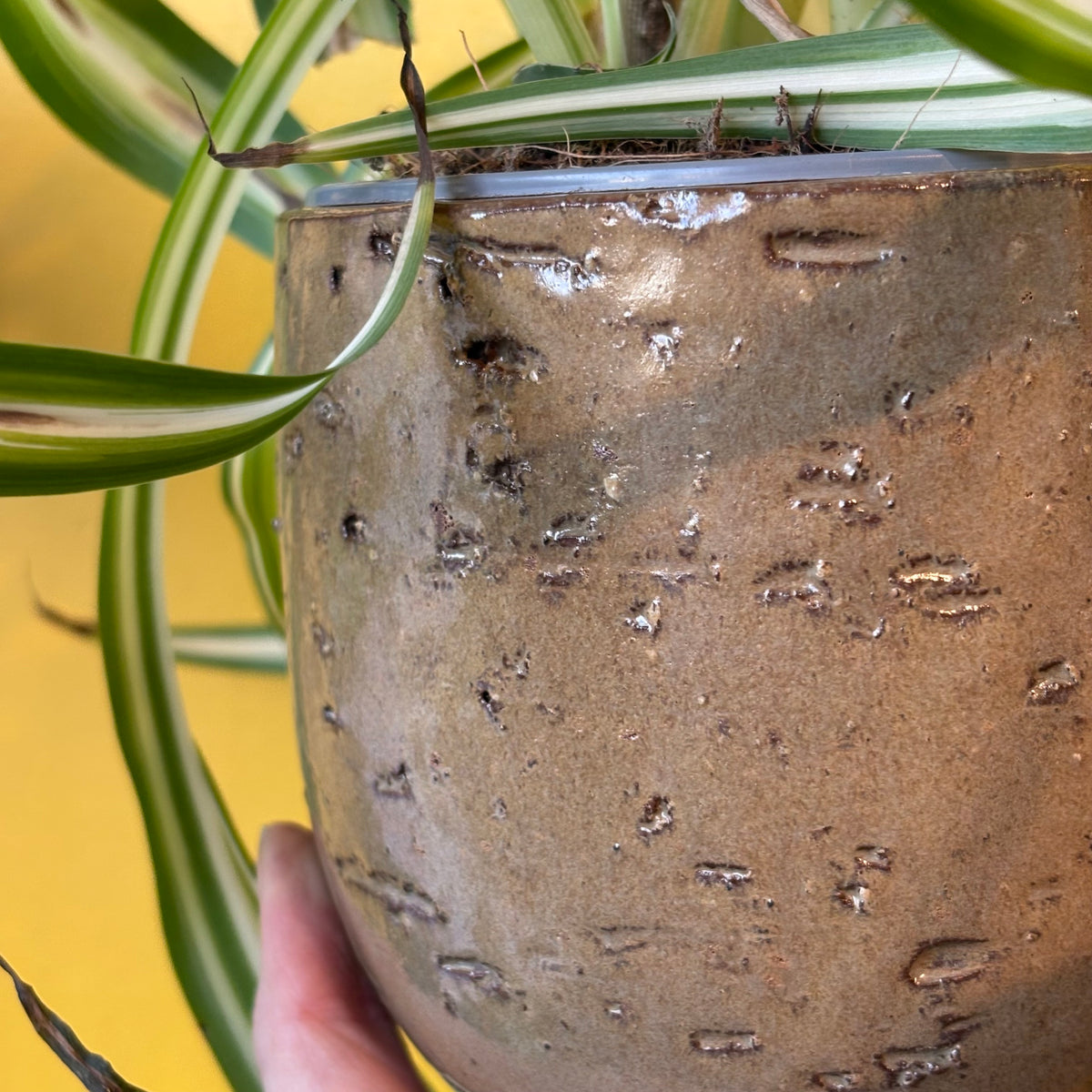 Pot - Nicolas (Taupe or Off-white)
