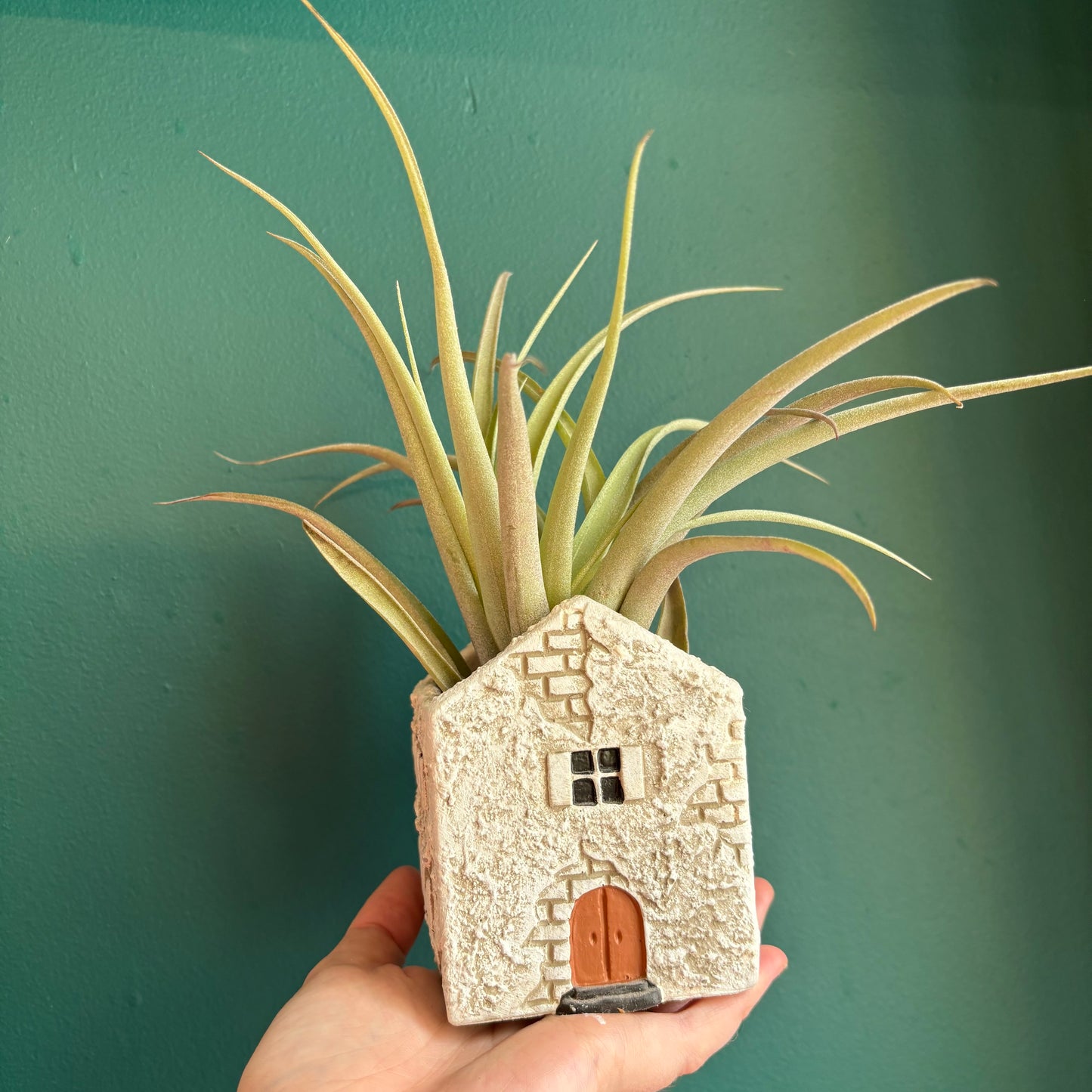 Pot - Casa Mediterranean